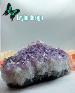 Evylin Design